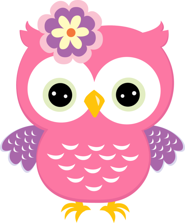 Free Bird Owl Beak Nose Clipart Clipart Transparent Background