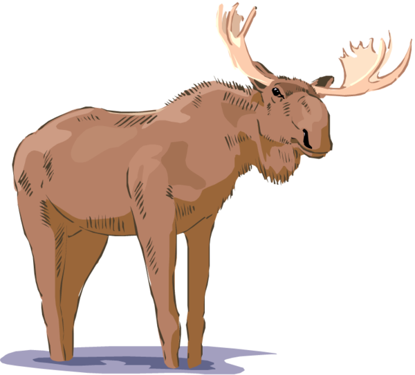 Free Deer Wildlife Moose Horn Clipart Clipart Transparent Background