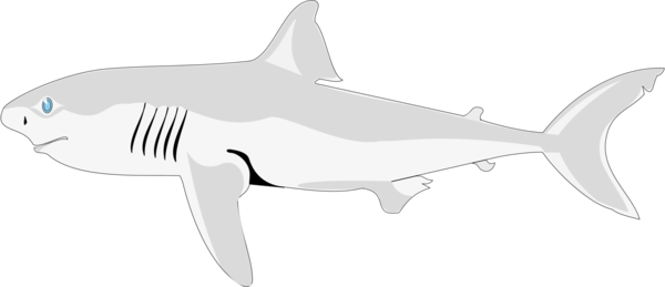 Free Fish Fish Shark Line Art Clipart Clipart Transparent Background