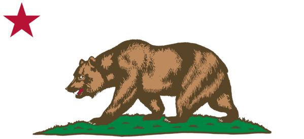 Free Bear Wildlife Bear Animal Figure Clipart Clipart Transparent Background
