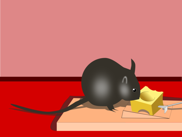 Free Cat Mouse Rat Cartoon Clipart Clipart Transparent Background