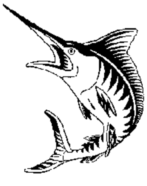 Free Bird Fish Black And White Beak Clipart Clipart Transparent Background