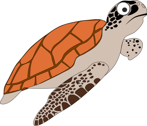 Free Fish Reptile Turtle Wing Clipart Clipart Transparent Background