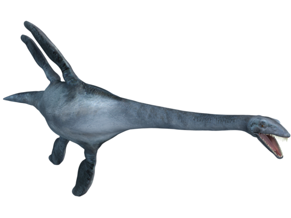 Free Dinosaur Tail Dolphin Clipart Clipart Transparent Background
