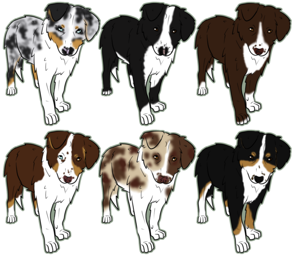 Free Dog Dog Snout Companion Dog Clipart Clipart Transparent Background