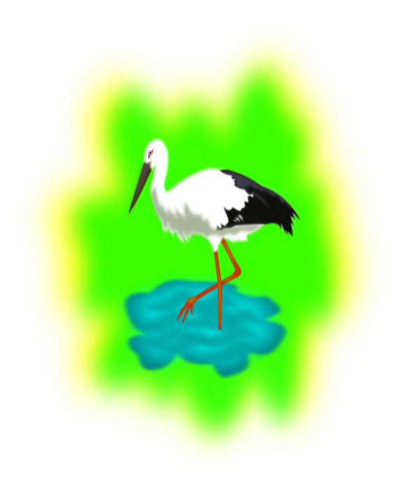 Free Bird Bird White Stork Beak Clipart Clipart Transparent Background