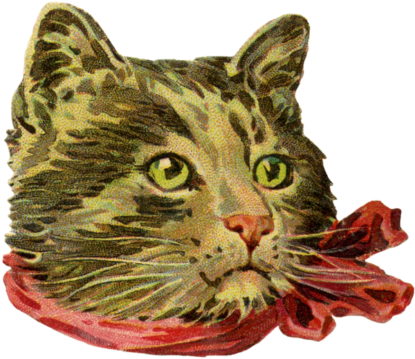 Free Cat Cat Whiskers Dragon Li Clipart Clipart Transparent Background