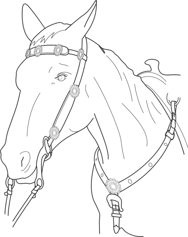 Free Walking Line Art Bridle Black And White Clipart Clipart Transparent Background