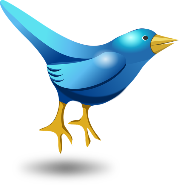 Free Bird Bird Beak Cobalt Blue Clipart Clipart Transparent Background