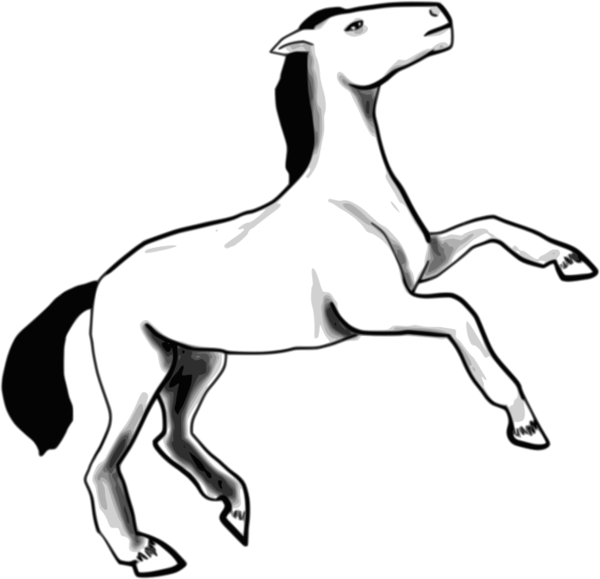 Free Camel Horse Line Art Black And White Clipart Clipart Transparent Background