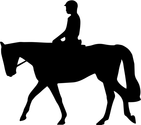 Free Horse Horse Rein Silhouette Clipart Clipart Transparent Background
