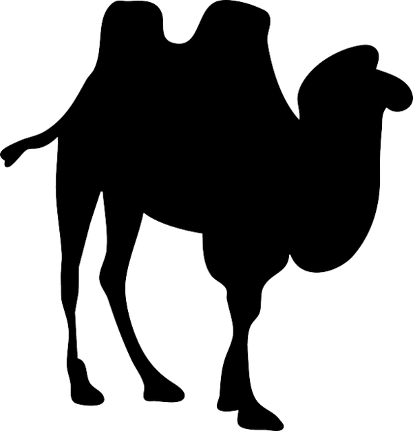 Free Camel Camel Camel Like Mammal Black And White Clipart Clipart Transparent Background