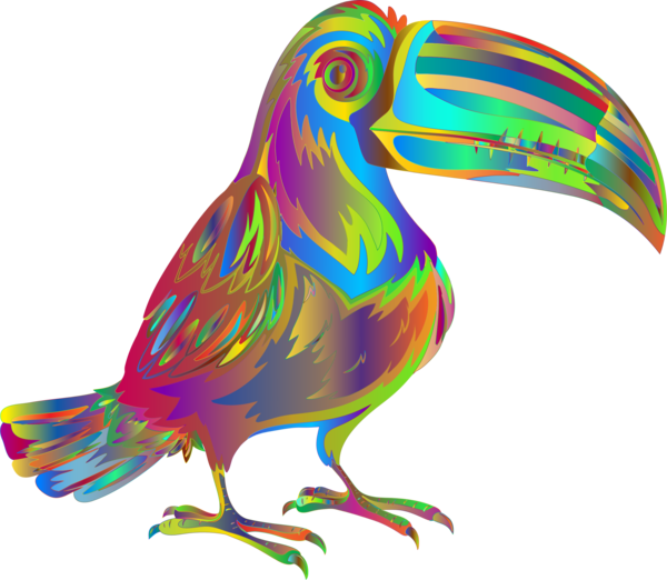 Free Bird Beak Bird Feather Clipart Clipart Transparent Background