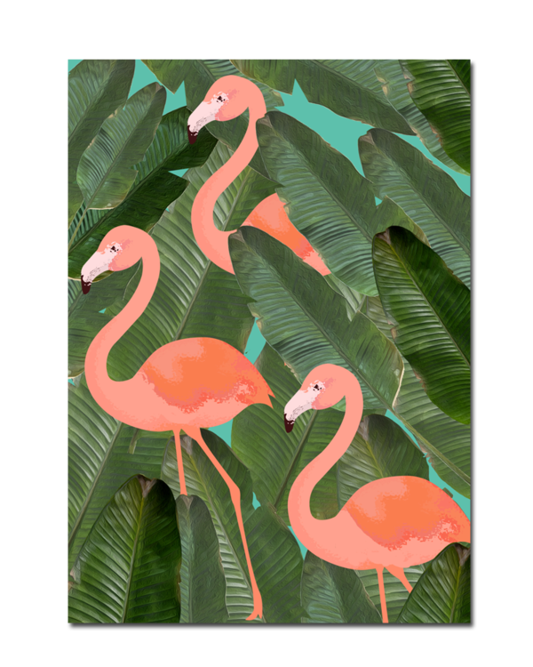 Free Bird Flamingo Water Bird Bird Clipart Clipart Transparent Background