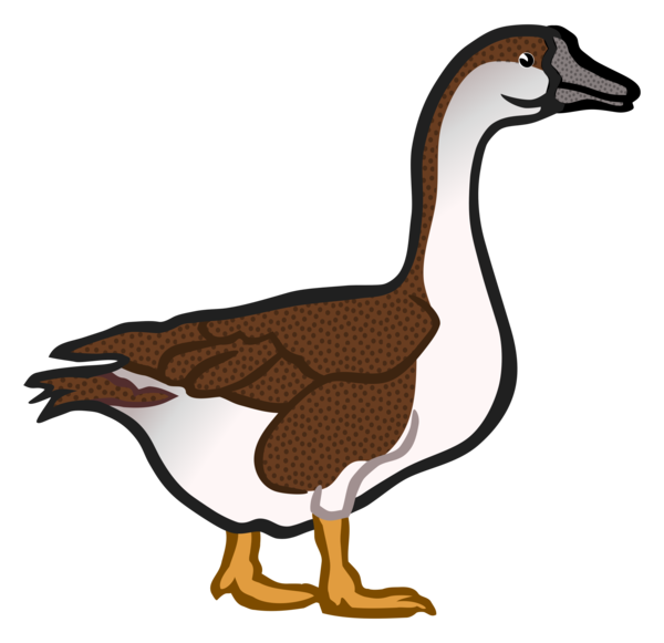 Free Bird Bird Beak Duck Clipart Clipart Transparent Background