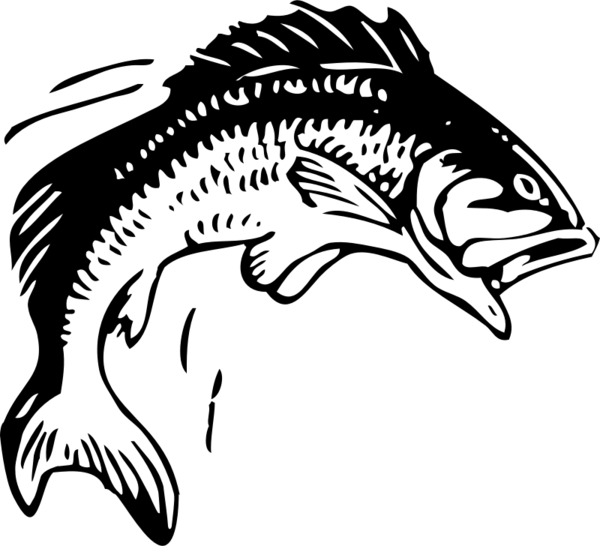 Free Fish Black And White Fish Head Clipart Clipart Transparent Background