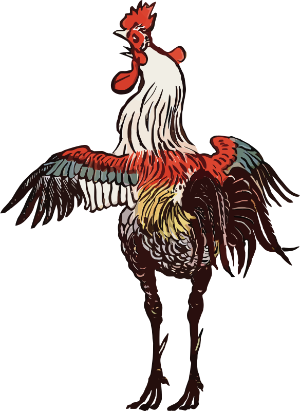 Free Bird Chicken Bird Rooster Clipart Clipart Transparent Background