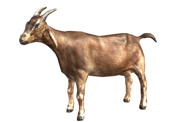 Free Goat Goats Goat Horn Clipart Clipart Transparent Background
