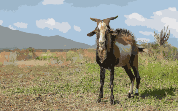 Free Goat Wildlife Ecosystem Goats Clipart Clipart Transparent Background