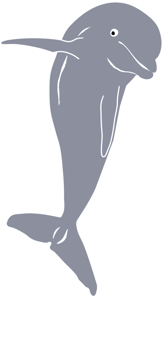 Free Bird Dolphin Beak Bird Clipart Clipart Transparent Background
