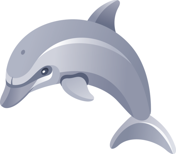 Free Dolphin Dolphin Short Beaked Common Dolphin Clipart Clipart Transparent Background