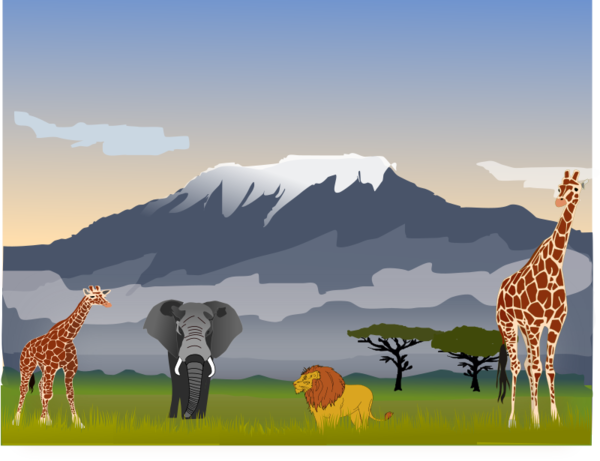 Free Giraffe Giraffe Wildlife Grassland Clipart Clipart Transparent Background
