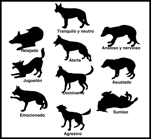 Free Cat Dog Black And White Silhouette Clipart Clipart Transparent Background