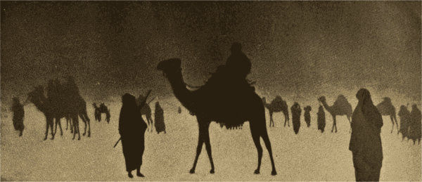 Free Camel Camel Camel Like Mammal Arabian Camel Clipart Clipart Transparent Background