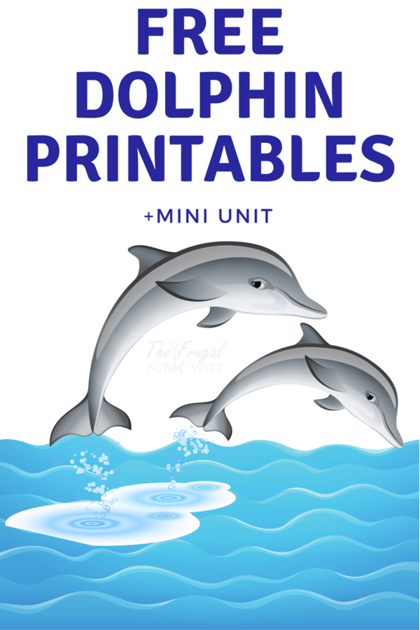 Free Dolphin Dolphin Water Text Clipart Clipart Transparent Background
