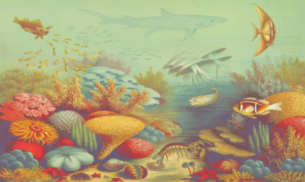 Free Fish Ecosystem Painting Coral Reef Fish Clipart Clipart Transparent Background