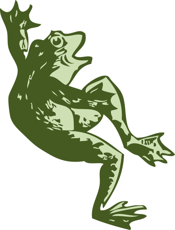 Free Frog Toad Frog Tree Frog Clipart Clipart Transparent Background