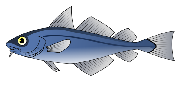 Free Fishing Fish Fin Seafood Clipart Clipart Transparent Background