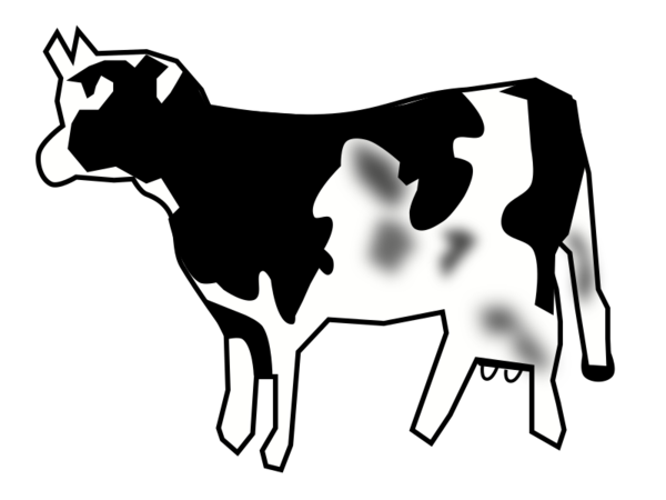 Free Cow Black And White Dairy Cow Horn Clipart Clipart Transparent Background