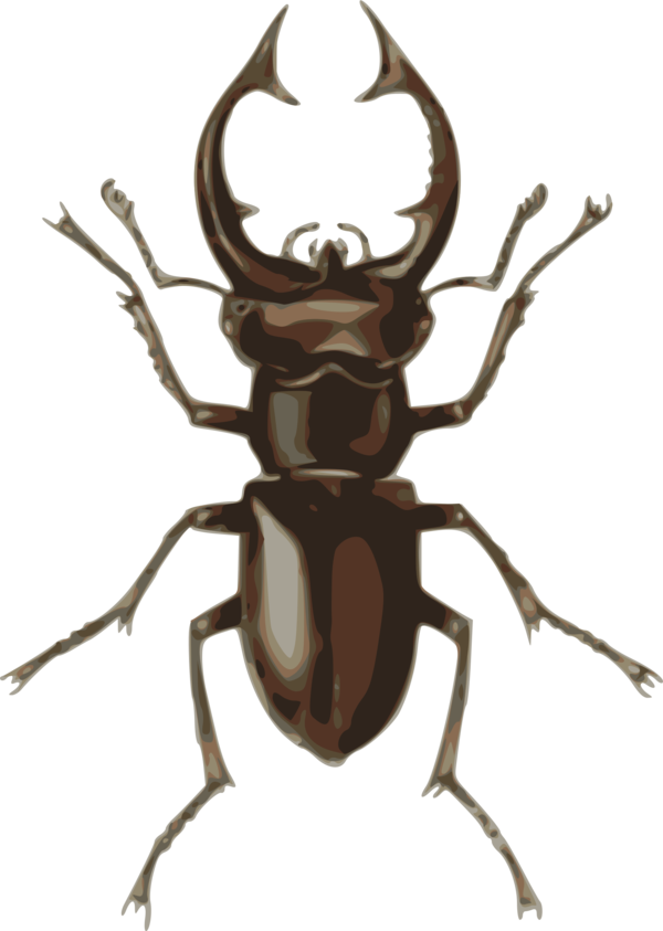 Free Insect Insect Antler Scarabs Clipart Clipart Transparent Background