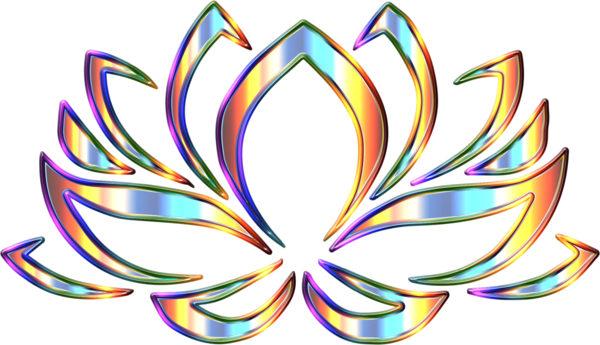 Free Butterfly Leaf Flower Symmetry Clipart Clipart Transparent Background
