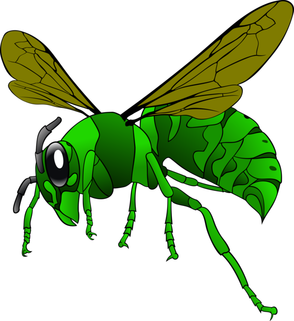 Free Bee Insect Pest Leaf Clipart Clipart Transparent Background