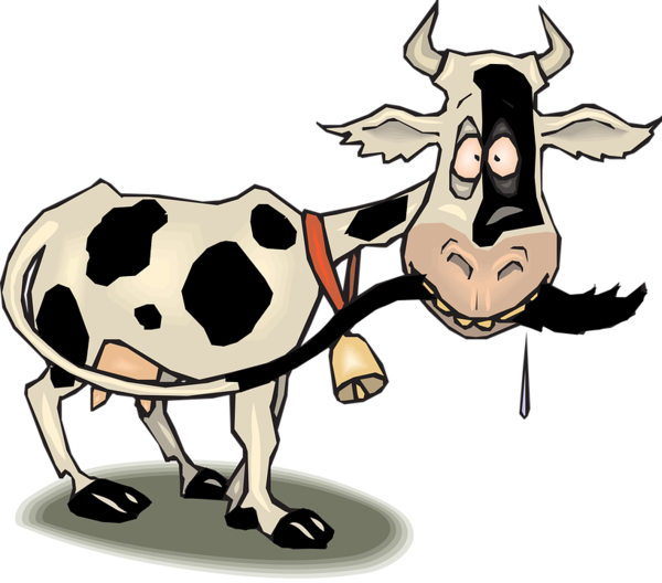 Free Cow Dairy Cow Cartoon Snout Clipart Clipart Transparent Background