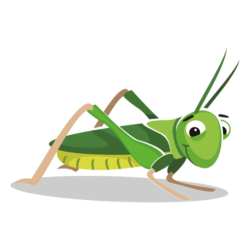 Free Insect Insect Cricket Like Insect Grasshopper Clipart Clipart Transparent Background
