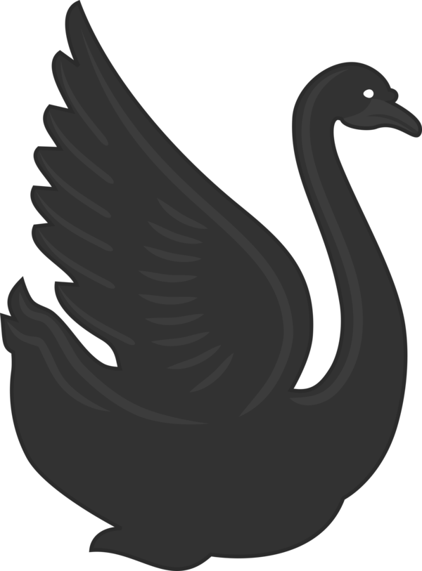 Free Bird Water Bird Beak Ducks Geese And Swans Clipart Clipart Transparent Background