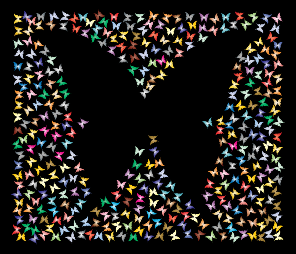 Free Butterfly Symmetry Butterfly Moths And Butterflies Clipart Clipart Transparent Background