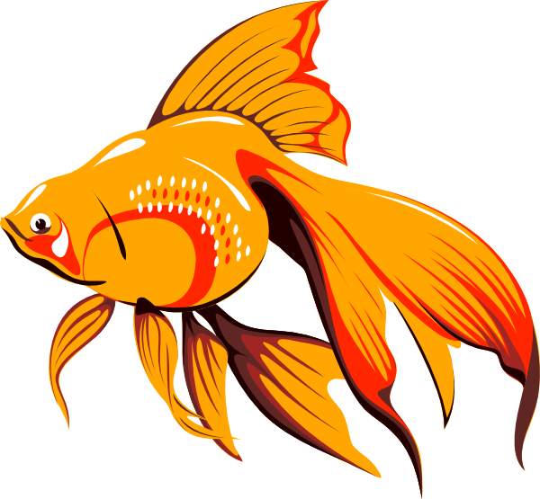 Free Fish Fish Goldfish Tail Clipart Clipart Transparent Background