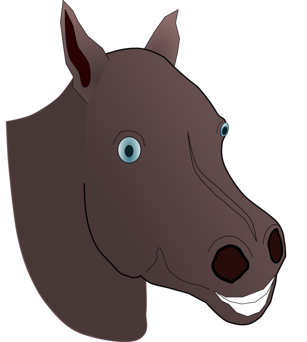 Free Donkey Horse Nose Pony Clipart Clipart Transparent Background
