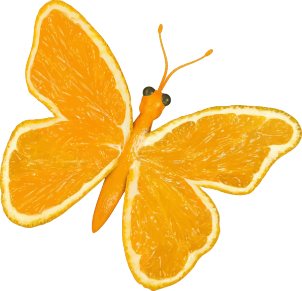 Free Butterfly Fruit Food Butterfly Clipart Clipart Transparent Background