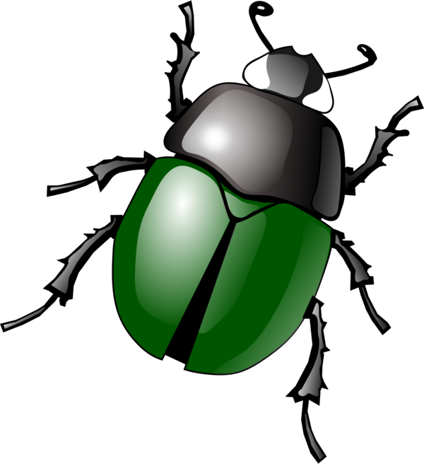 Free Insect Insect Beetle Leaf Clipart Clipart Transparent Background