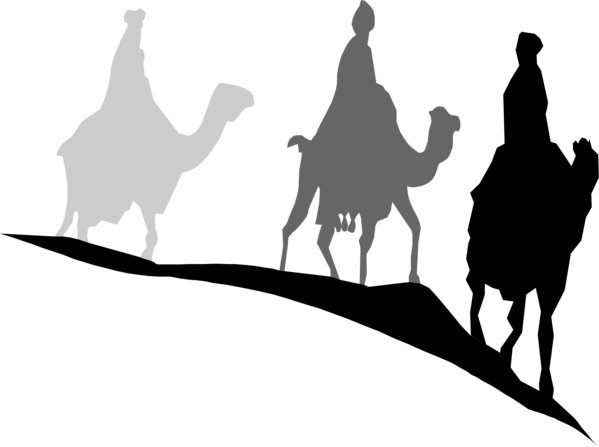 Free Camel Black And White Silhouette Camel Clipart Clipart Transparent Background
