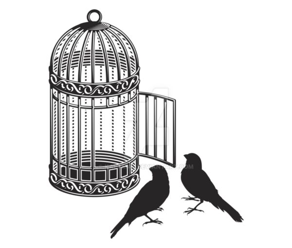 Free Bird Cage Black And White Bird Clipart Clipart Transparent Background