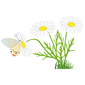 Free Butterfly Flower Daisy Plant Clipart Clipart Transparent Background