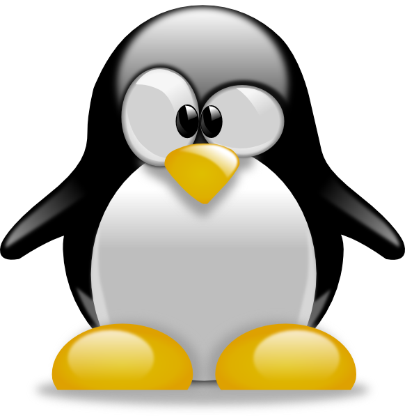 Free Bird Penguin Bird Beak Clipart Clipart Transparent Background