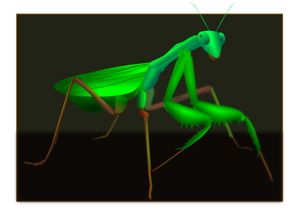 Free Insect Insect Mantis Grasshopper Clipart Clipart Transparent Background