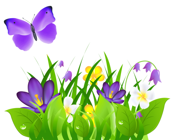 Free Butterfly Flower Plant Violet Clipart Clipart Transparent Background